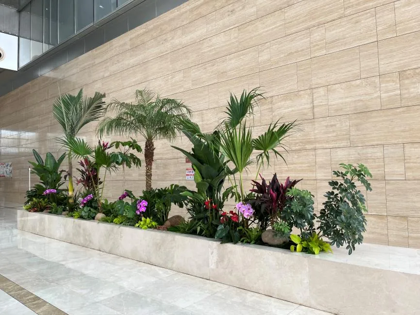 速看！宁波余姚花木租摆价格详情大公开